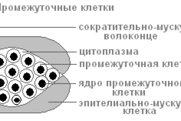 Кракен наркотики россия