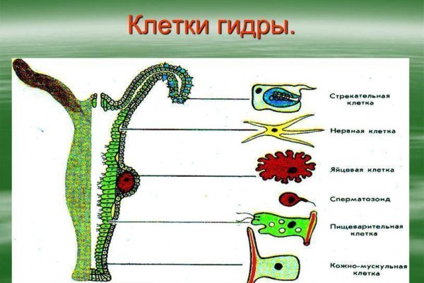 Ошибка на кракене