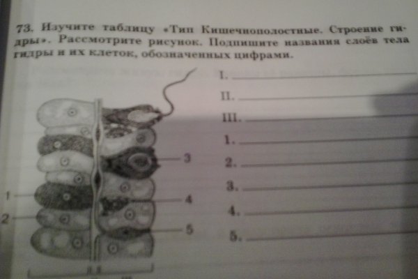 Кракен сайт продаж