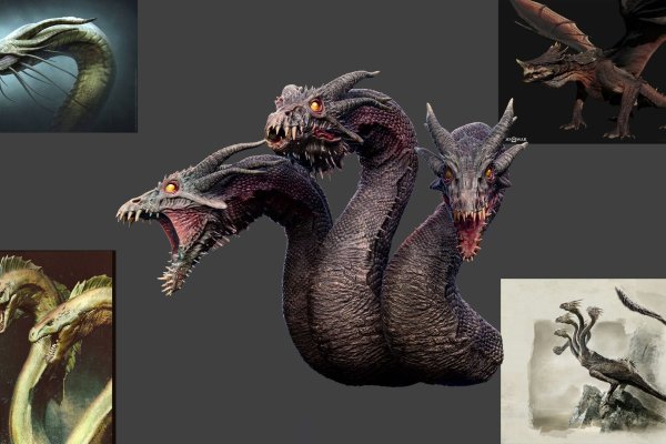 Kraken official